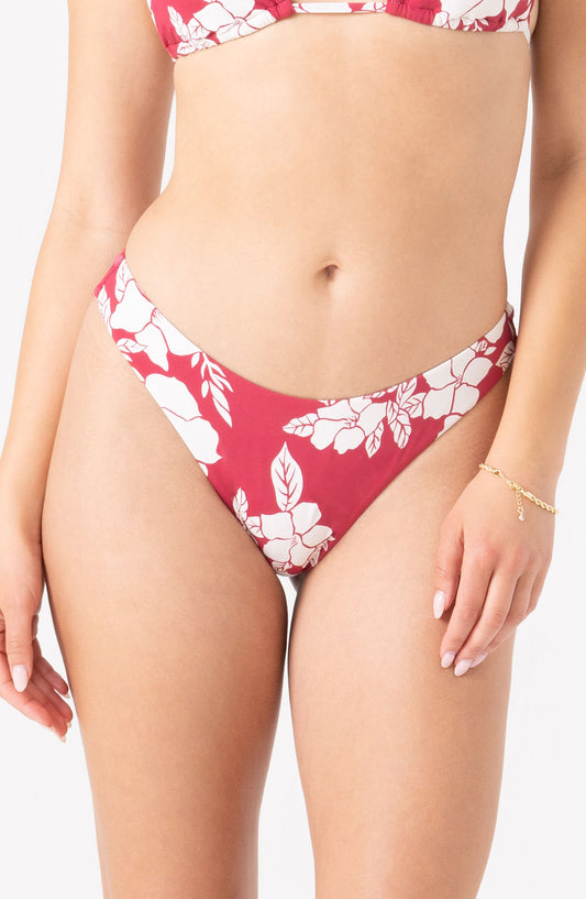 HIBISCUS